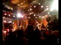 ZiggyMarley Blackcat2
