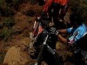 Trilha Palmeira Trilha Palmeira