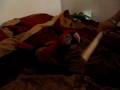 ziggy scarlet macaw playing