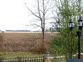 Test Video - DSC-T200