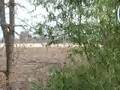 Test Video - DSC-T200