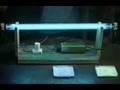 How-Fluorescent-Ligh