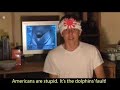 Re: Dolphin Massacre In Japan