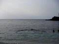 tuffo alla sassarese a Lampianu