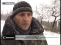 Lupii revin la Zagorna Vezi