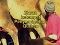 Perjalanan Haji & Umrah Perjalanan Haji & Umrah