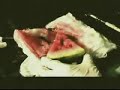 Watermellon Art