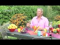 Click here to watch this video Conseil du jour - Oeillet d'Inde - Jardinerie Truffaut TV