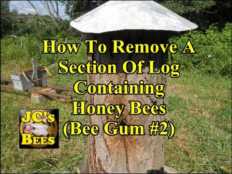 how to remove log