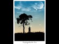Ray Lamontagne Hold you in my Arms