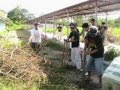 Tau gamma phi concepcion council