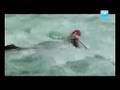 EXPEDICION UR NOMADE PATAGONIA II