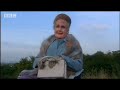 Thora Hird's Nice History of Britain - Dead Ringers - BBC comedy
