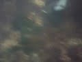 buceo mugardos muelle viejo 2º