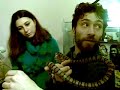serpente reale messicano
