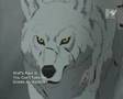 Wolf's Rain - Kiba