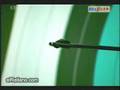 Robin Hood Japonés