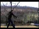 Eensey Weency Trailer