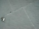 didì che corre in piazza unità didì che corre in piazza unità