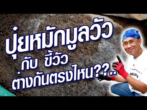 วิธีทำปุ๋ยหมักมูลวัว ไว้ใช้เอง แค่ 7 วันเห็นผล