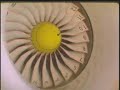 Rolls-Royce Trent 900 Bird Ingestion Test