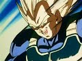 Tribute to vegeta