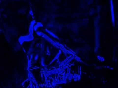 Youtube Video rSfx3OiqRcU