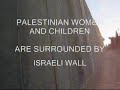Apartheid Wall - Palestine