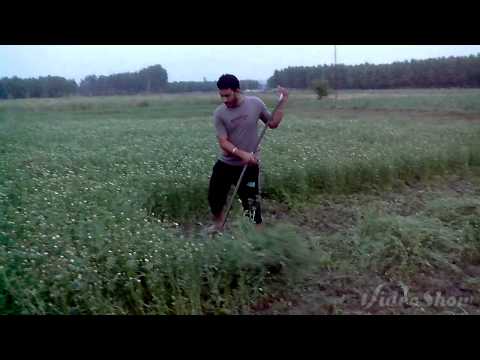 Date New Punjabi Song