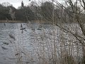 Meine Rettungsaktion !!!