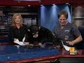 Monkeying Around On The News Desk