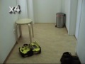 Wischrobo © Parthey,Wischroboter,cleaning robot