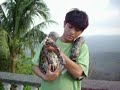 Franz the Snake Charmer @ Residence Inn Zoo, Tagaytay City Franz the Snake Charmer @ Residence Inn Zoo, Tagaytay City