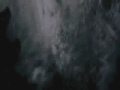 ALIEN vs PREDATOR requiem ALIEN vs PREDATOR requiem