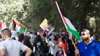 مشاركة الالاف في مسيرة قرية الكابري المهجرة مشاركة الالاف في مسيرة قرية الكابري المهجرة