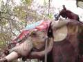 Sultan's Elephant 04 
