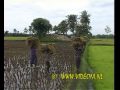INDIA SOUTH TWO