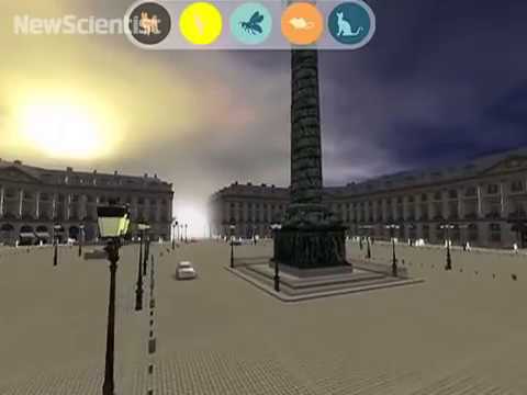 3D game lets you see through an animal's eyes