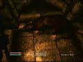 Oblivion: Blind Sewer Rat Glitch