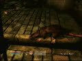 Oblivion: Blind Sewer Rat Glitch