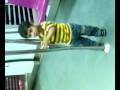 videos de vadakarai haleelji`s son 2