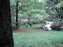Making of "The Qwerty Kid" - The hill scene