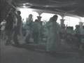 videos de EN VIDA (SEBASTIANA BAHA')
