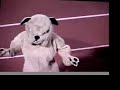 riverdale warriors Slap smyrna