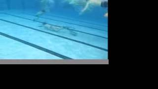 Campeonato de España de hockey sub 2008 (A Coruña)