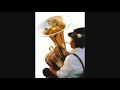 Rixdorfer Wurstmusikanten: Stillbruch P(einL)
