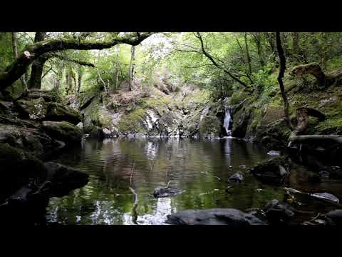 johnnielawson - Relax with these calming sounds, the tranquil music of water flowing over a waterfall and the soothing meditative sound of water dripping amongst the rocks i...