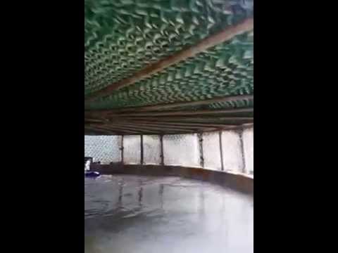 how to maintenance cooling tower