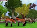 Hình ảnh Trong Clip