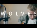 Selena Gomez, Marshmello - Wolves (acoustic cover)